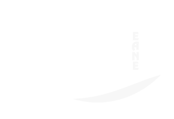 EANE Knowledge Hub Logo